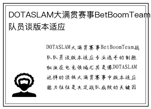 DOTASLAM大满贯赛事BetBoomTeam战队队员谈版本适应