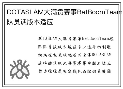 DOTASLAM大满贯赛事BetBoomTeam战队队员谈版本适应