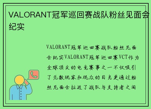 VALORANT冠军巡回赛战队粉丝见面会纪实