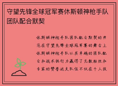 守望先锋全球冠军赛休斯顿神枪手队团队配合默契